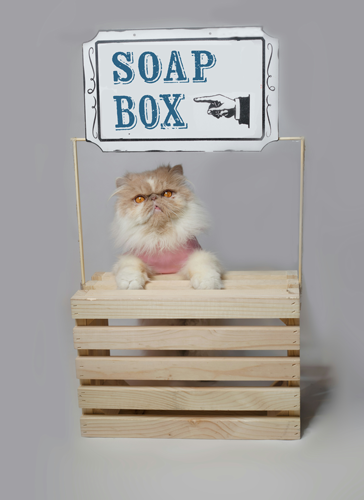 Soapbox