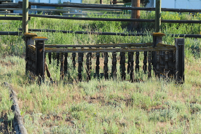 Photo Writing Challenge for Nov 6, 2025