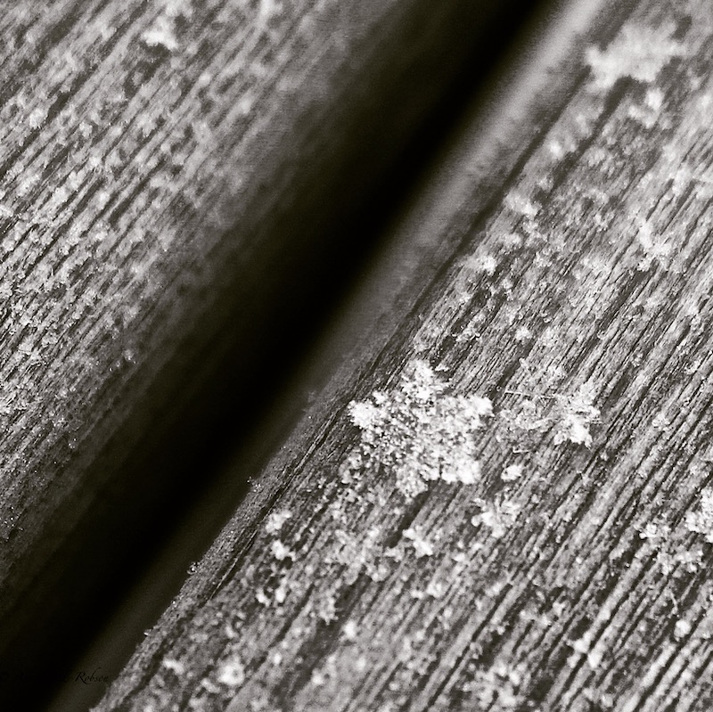 individual snowflake jewels of winter