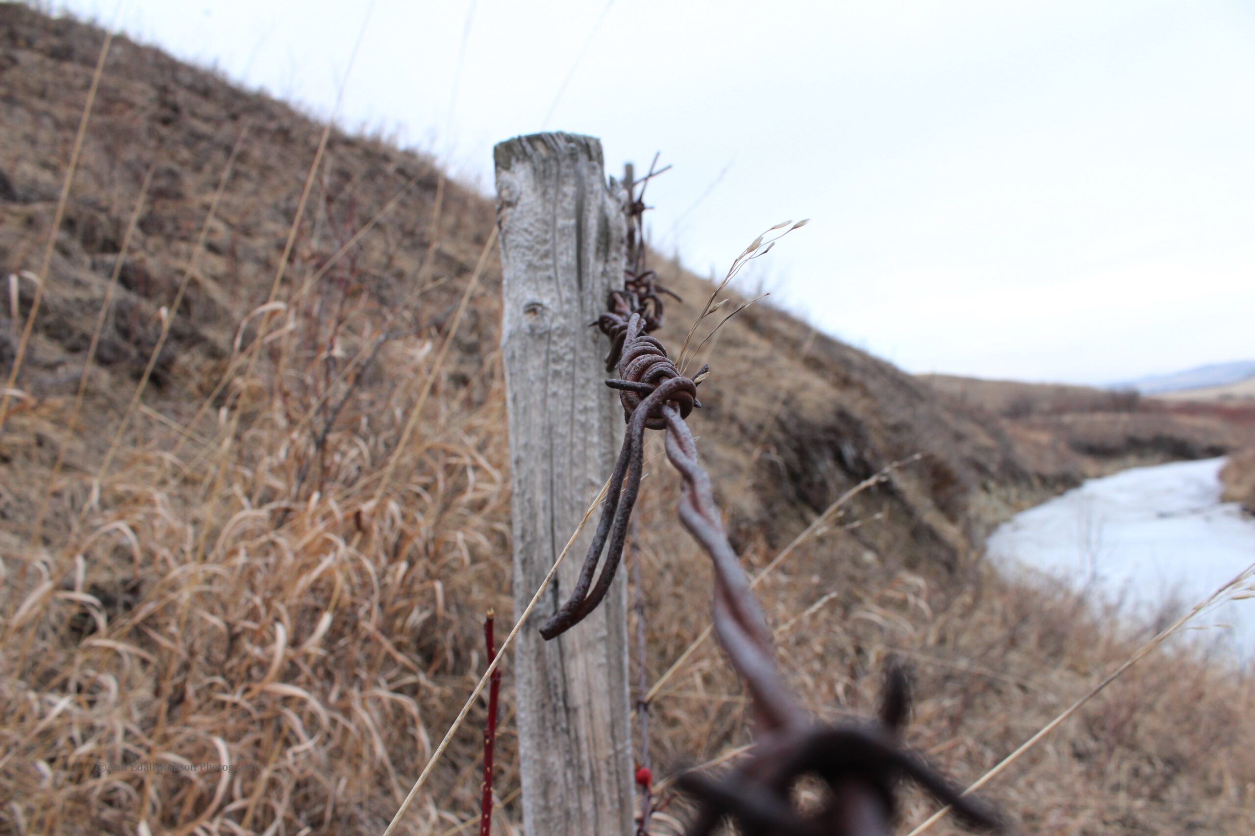 Heritage fence line