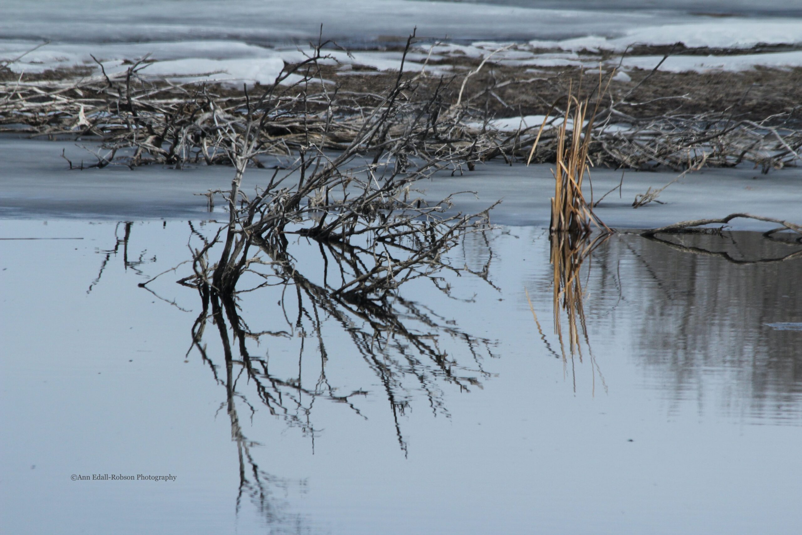 Reflection on the water