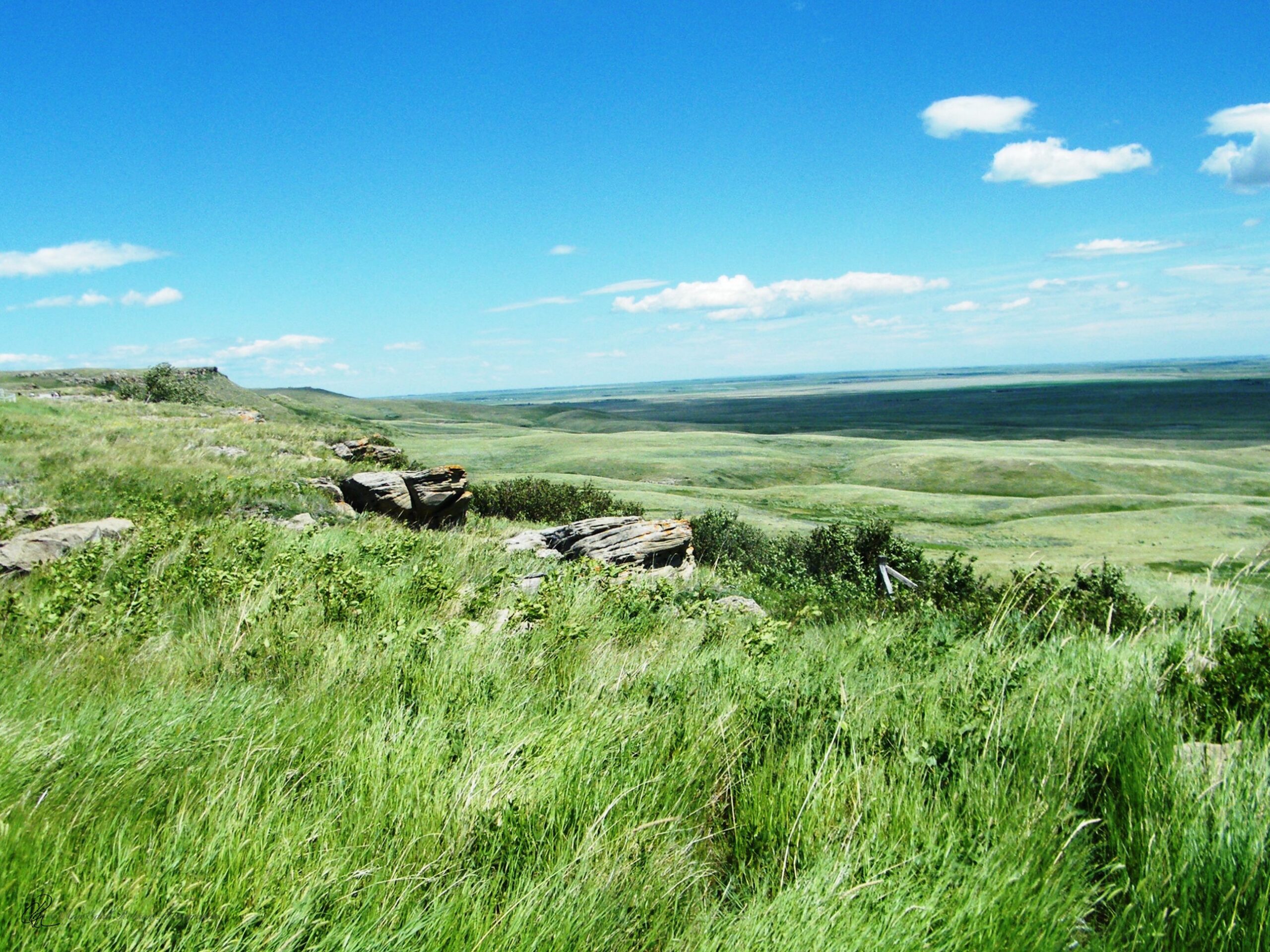 Head-Smashed-In-Buffalo-Jump
