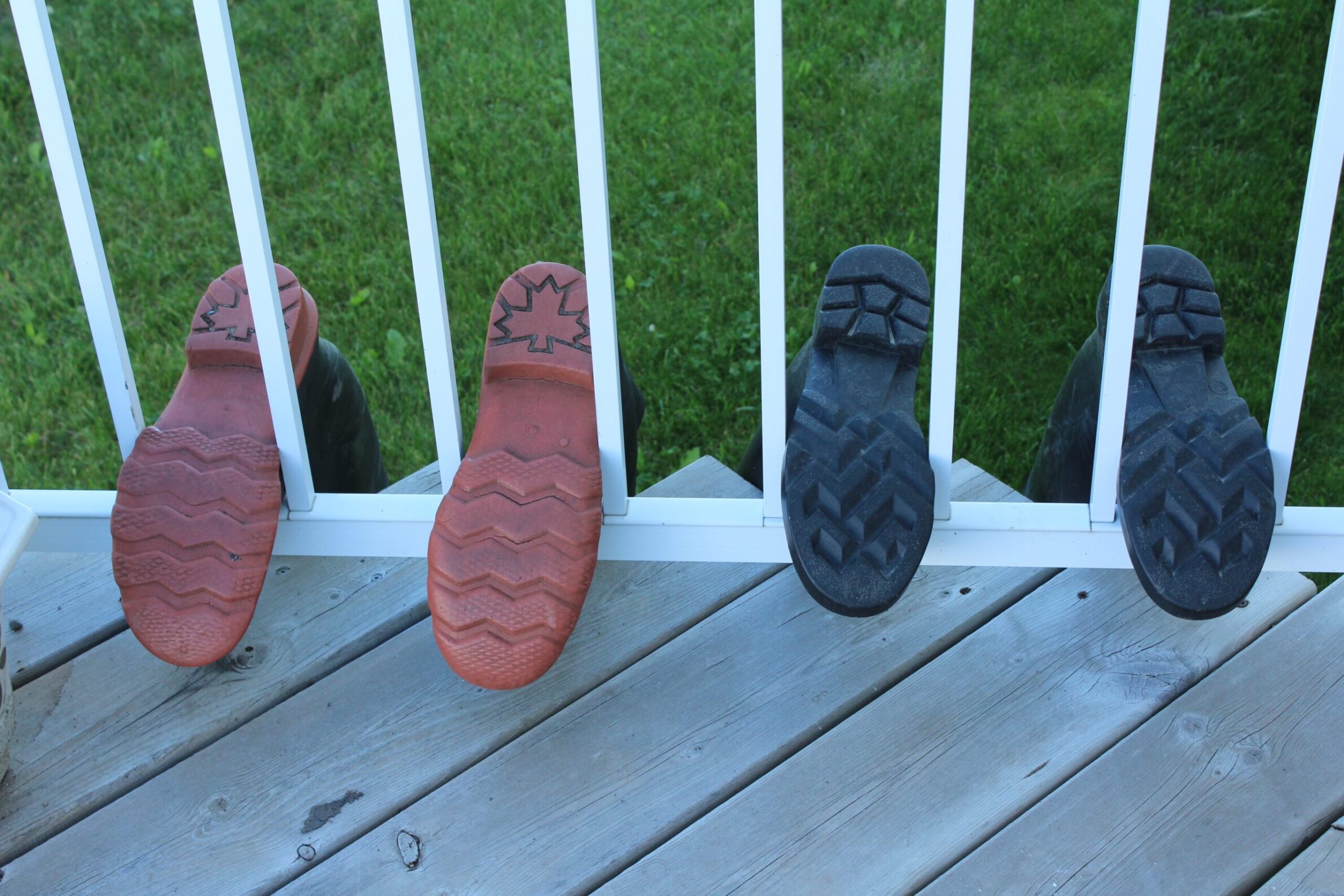 Barn boots