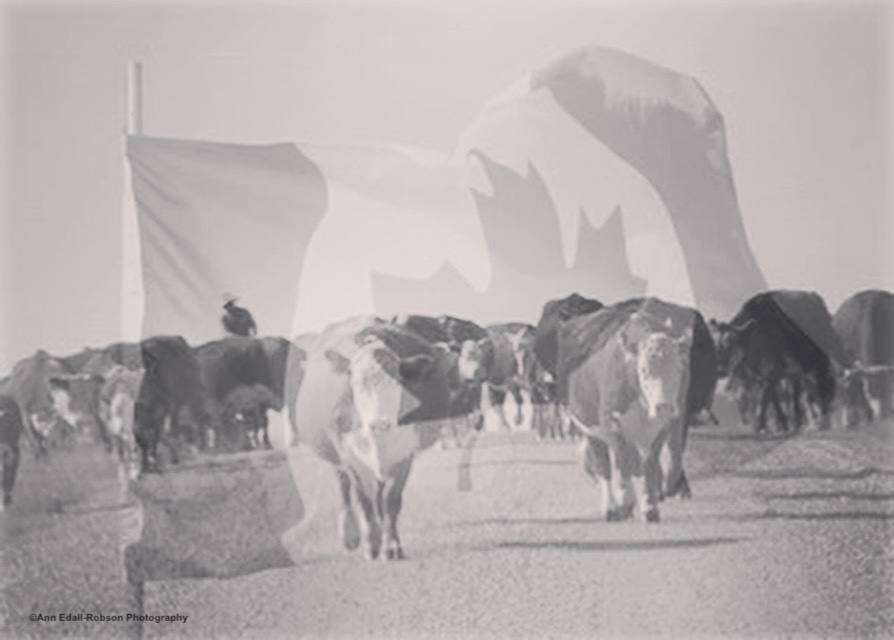 Canada Day