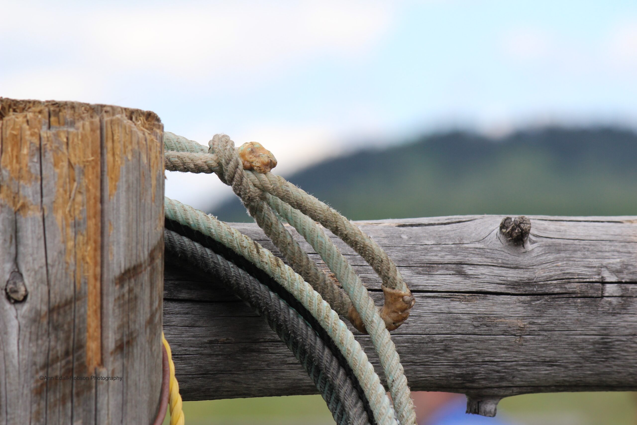 Rope on fence